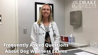 Frequently Asked Questions About Dog Wellness Exams