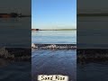 The most satisfying wave sound ever 🌊