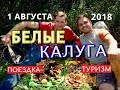 БЕЛЫЕ ГРИБЫ В КАЛУЖСКОЙ ОБЛАСТИ,АВГУСТ