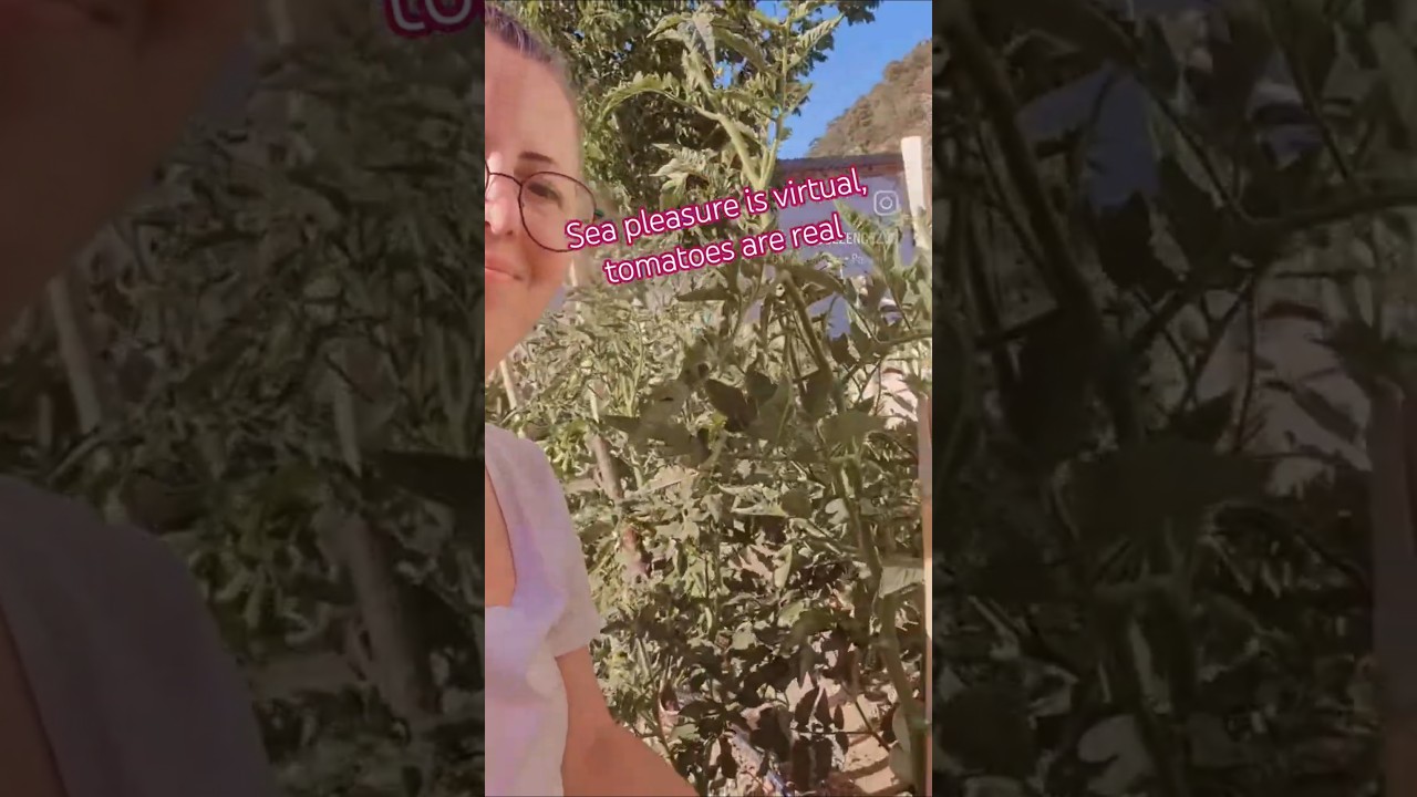 Deniz keyfi sanal, domatesler gercektir. #shorts #youtubeshorts #fyp #keşfet #subscribe