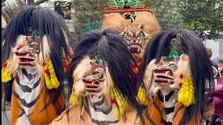 Bikin Heboh Arak Arakan Manten Ceo Barongan Blora Mustika Macan Kumbang  Blora 