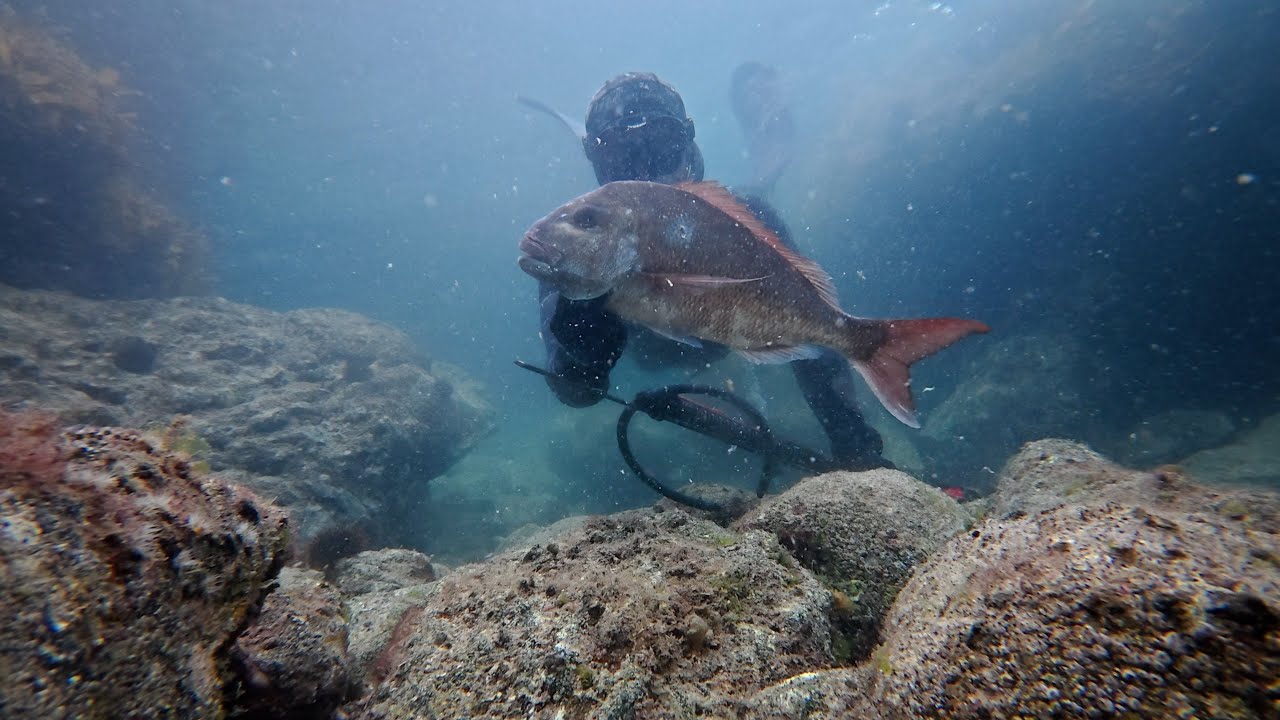 Советы и методы подводной охоты на мелководье