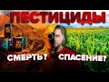 Вся правда о пестицидах. Стоит ли нам их использовать? | Сортировочная