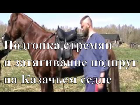 Видео: Колко струва здравето на Homewood?