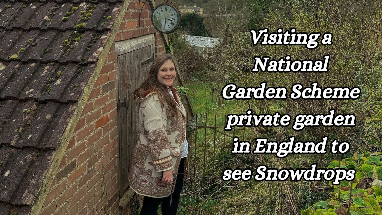 A fairytale snowdrop garden in England