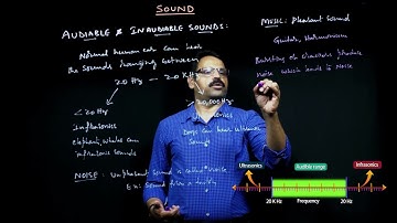 CBSE VIII PHYSICS LESSON 13 SOUND AUDIBLE AND INAUDIBLE SOUNDS Brainbox School |
