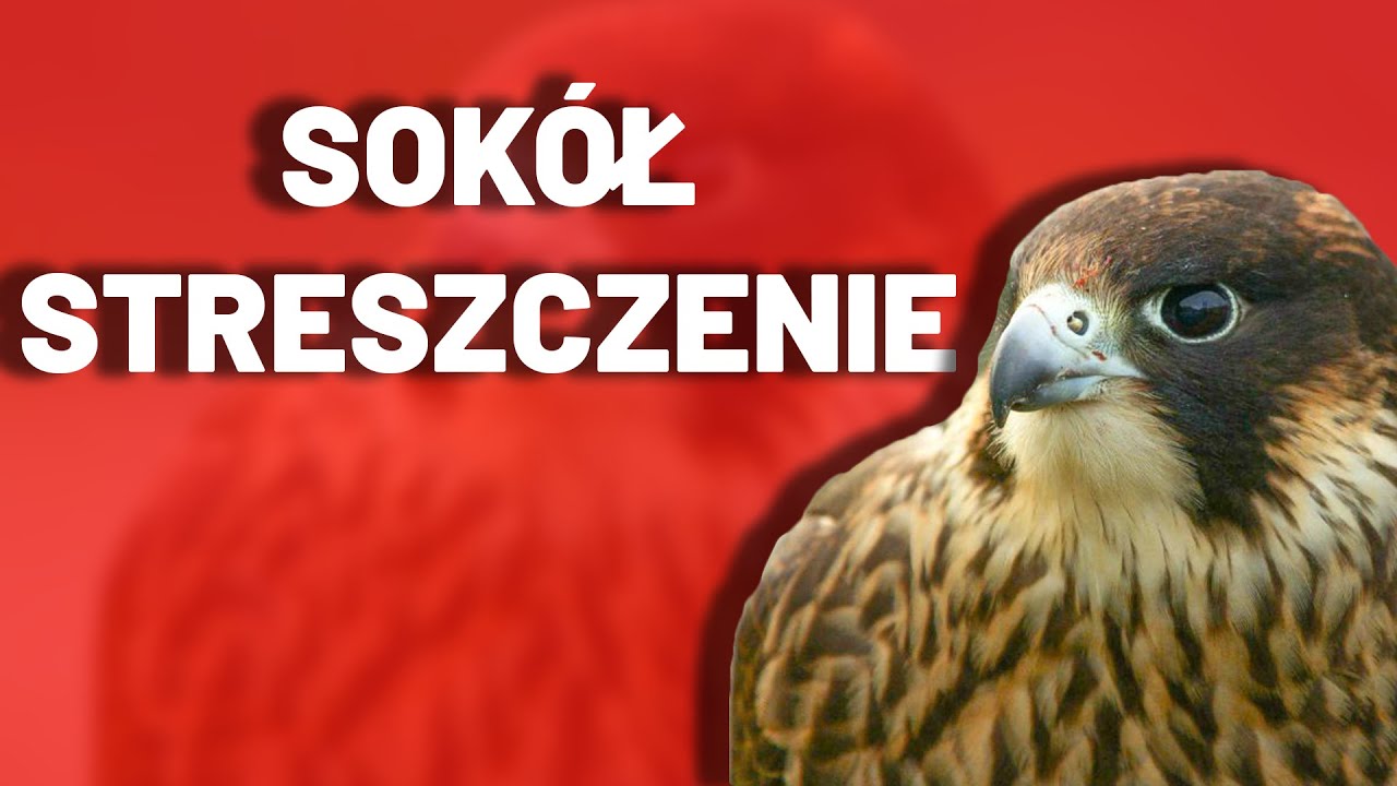 Sprawdzian Matura Focus 3 Unit 2 Chomijuj Sokół - Streszczenie, Sprawdzian, Matura, Egzamin, Kartkówka - YouTube