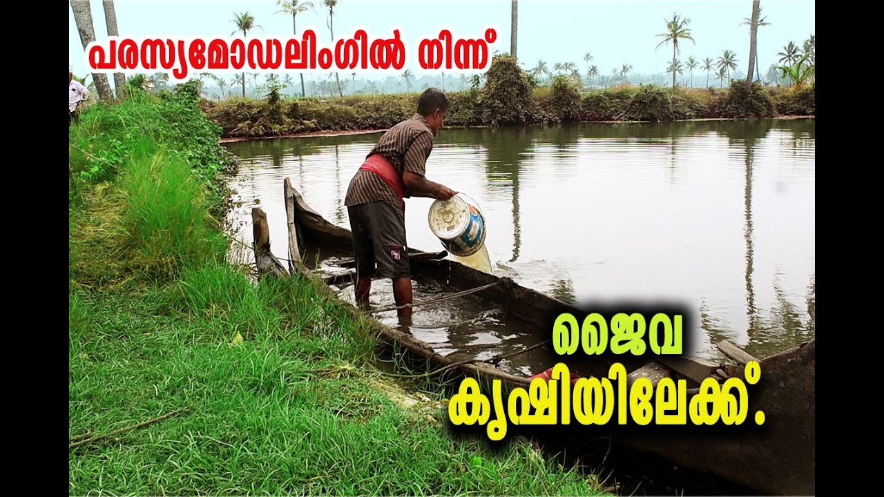 Природное земледелие