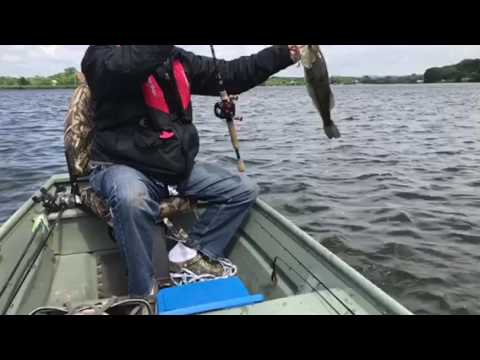 Slo-mo Drakes creek bass