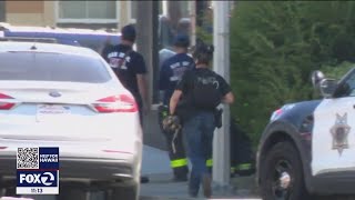 Ambush of San Jose officers highlights risk of answering domestic violence calls