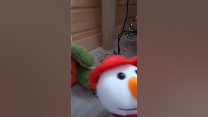 Kto z nich ma założyć kanał? #music #song #piosenka