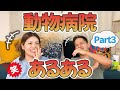 犬猫の飼い主さん必見！動物病院獣医師あるある【Part3】