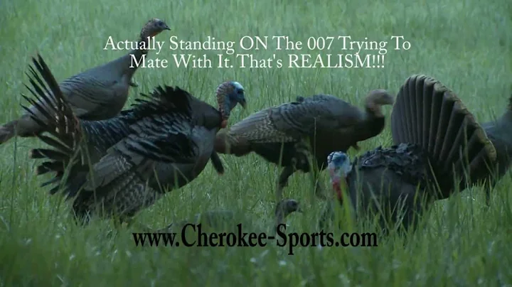 Gobblers Going Crazy! - 2 Hunts Brian Divis & Jaso...