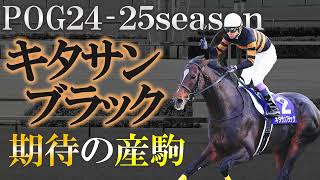 【2歳馬】怪物輩出！キタサンブラック 期待の産駒を10頭紹介します！【pog24-25】【新種牡馬】