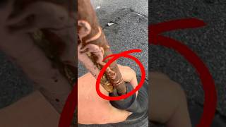 🔥об этом даже не думали когда искали протечки в кровле )