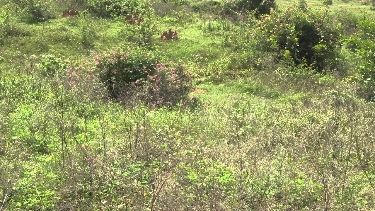 594sqft Land For Sale 15L in Anjanapura Village, Bangalore Refind