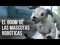 El boom de las mascotas robóticas