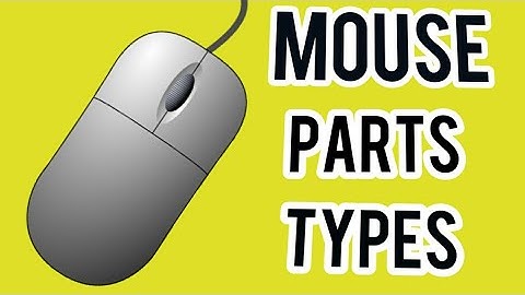 computer mouse -   mouse parts , types internal stucture