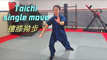 Taichi single move 摟膝拗步