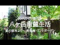 【八ヶ岳南麓60代一人暮らし】#70 原村・緑の中に佇むお蕎麦屋さん「香草庵」/お店もお庭も素敵過ぎるカフェ「ミントガーデン」/映画「マイマイ新子と千年の魔法」のお話/移住暮らし/田舎暮らし