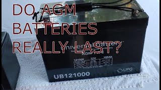 Do Cheap AGM / Sealed Lead-Acid Batteries Last