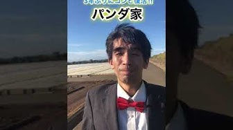 ブンジン Youtube