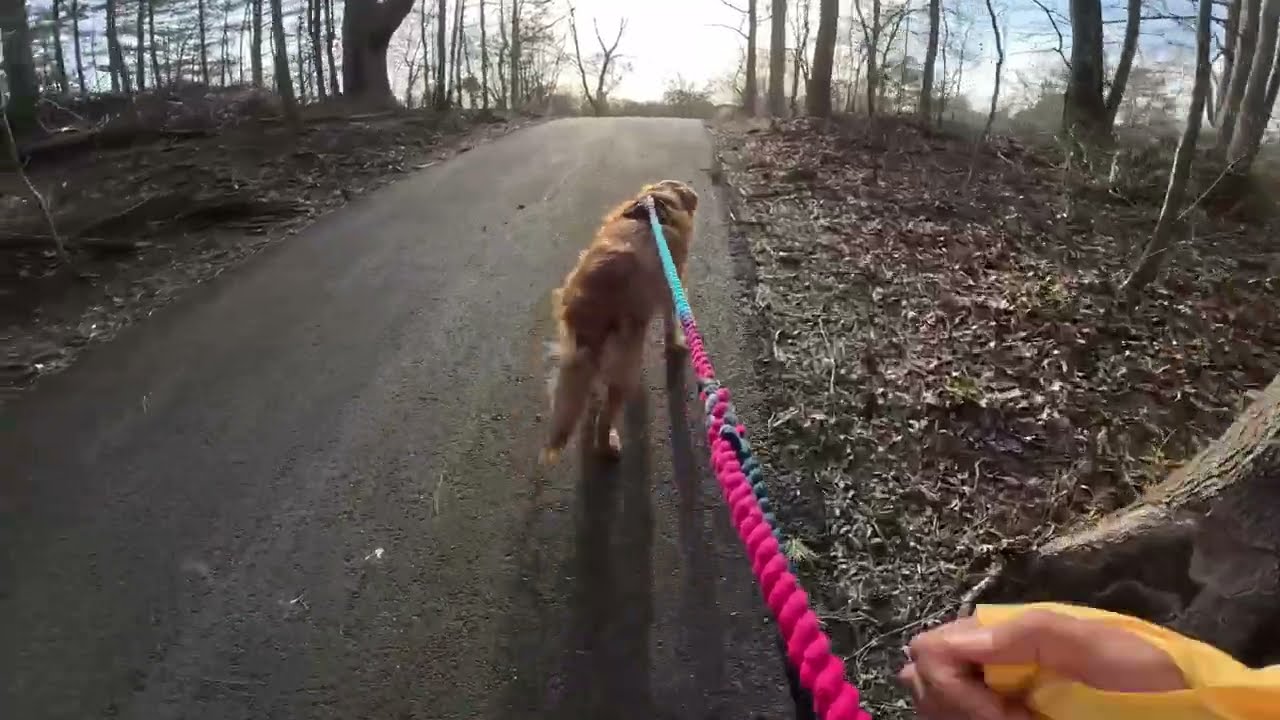 Shorty Howell Park, March 25'