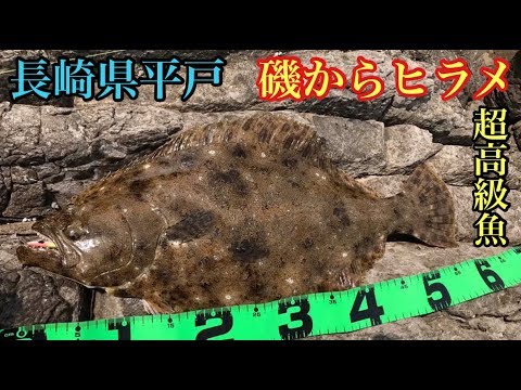 長崎県 離島 ルアーフィッシング 巨チヌ 磯ヒラメ Youtube 長崎県 離島 ルアーフィッシング 巨チヌ 磯ヒラメ Youtube