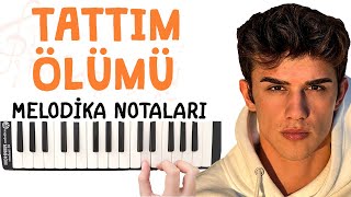 TATTIM ÖLÜMÜ Melodika Notaları - AHMET CAN DÜNDAR