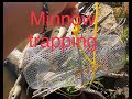 Minnow trapping