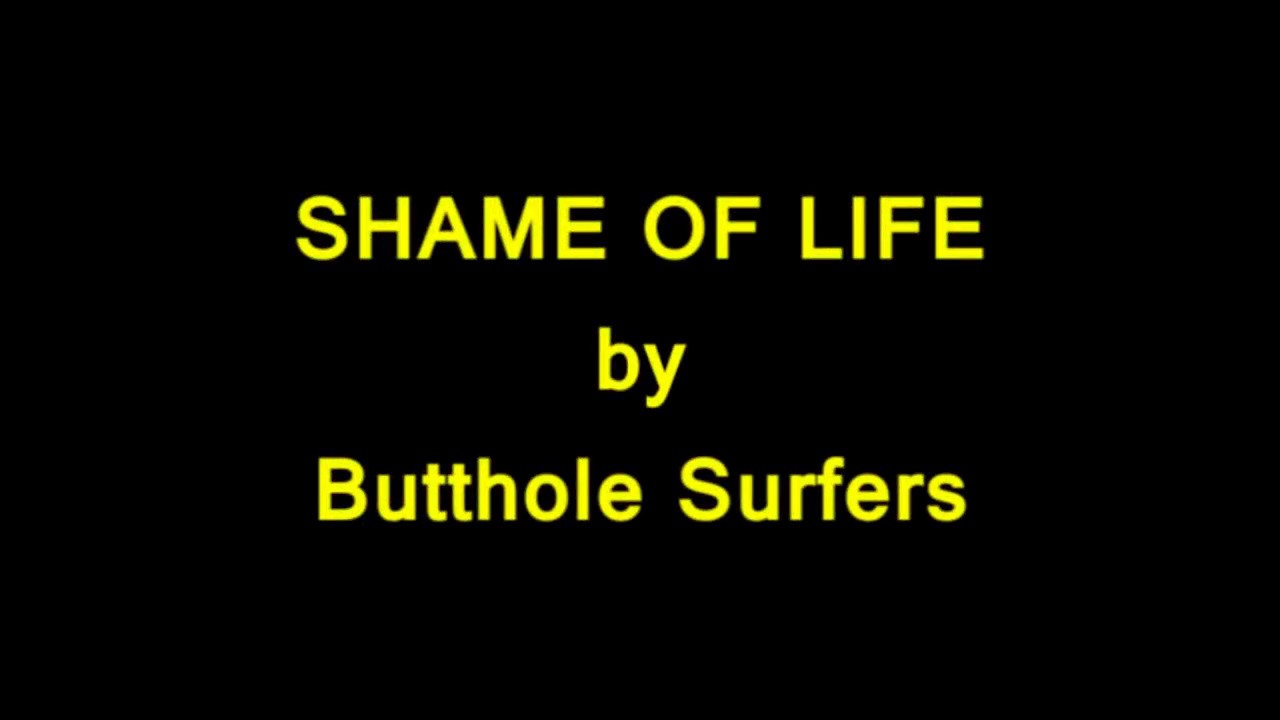 Butthole Surfers - Shame Of Life lyrics