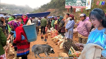 CHỢ TÂY BẮC ĐẶC SẮC - PHIÊN CHỢ CÁN CẤU SIMACAI LÀO CAI MỘC MẠC MỚI NHẤT MIỀN NÚI