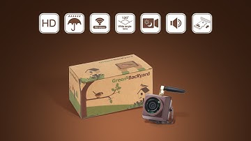 How to set up Wireless Bird Box Camera