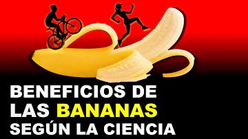 ¿Cuáles son los beneficios del plátano?