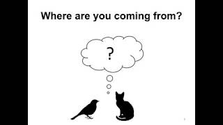 Million Cat Challenge: Cats Birds and Animal Shelters - webcast
