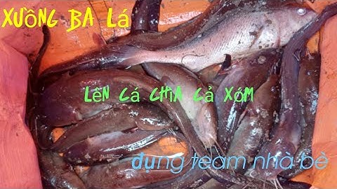 câu cá ngát trên đập ngăn mặn mang cá chia cả xóm|xuồng ba lá fishing
