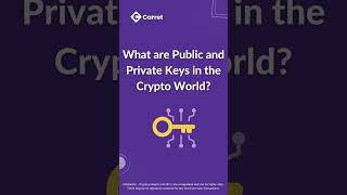 What are Public and Private Keys in the Crypto World
