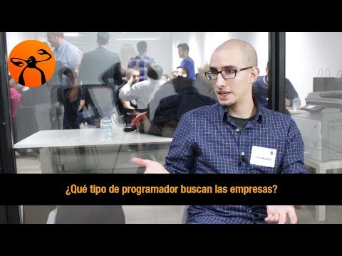 ¿Qué Tipo De Empresas Contratan Programadores Informáticos?