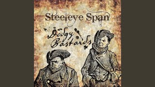Video voorbeeld van "Steeleye Span - Cromwell's Skull"