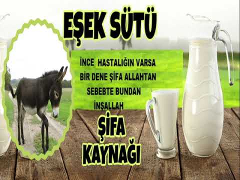 eşşek video