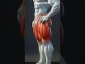 Exercise for leg workout equipment #gymmotivation #shorts #viral