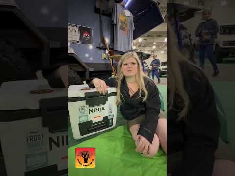 Why the Ninja