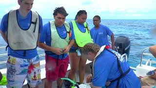 Marine Lab Promo Video - Key Largo, FL