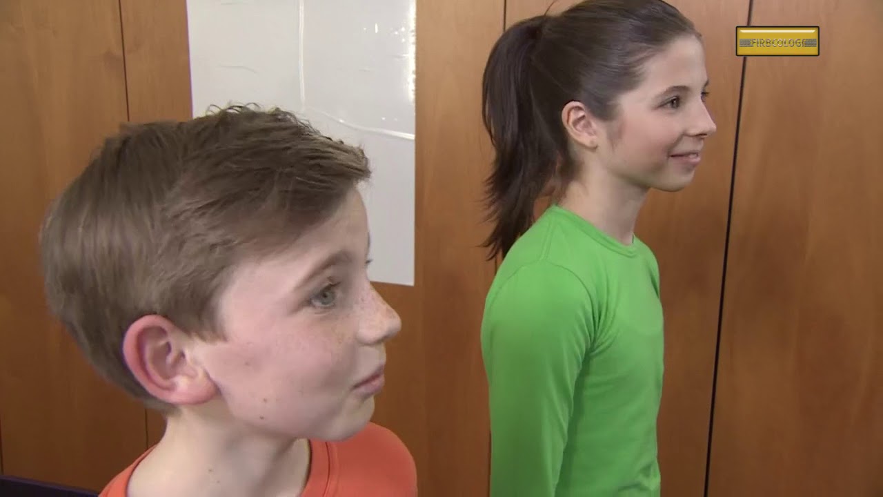 Firbcologi: Bassless