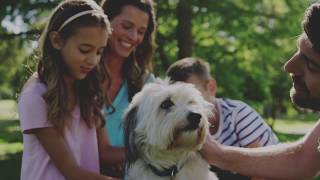 How to help keep your family and pets safe and healthy