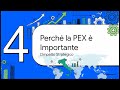 Cos’è la Participation Exemption prevista dal Tuir?