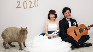 カピバラと子年のウエディングフォト
