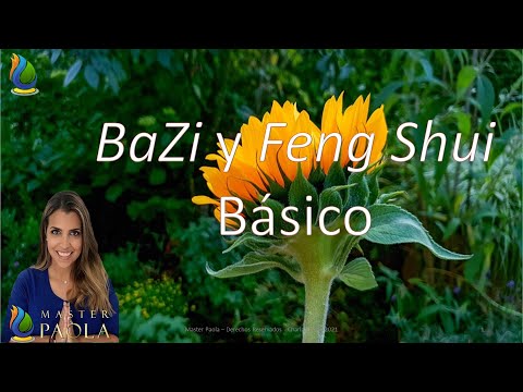 Vídeo: O que é Bazi no Feng Shui?