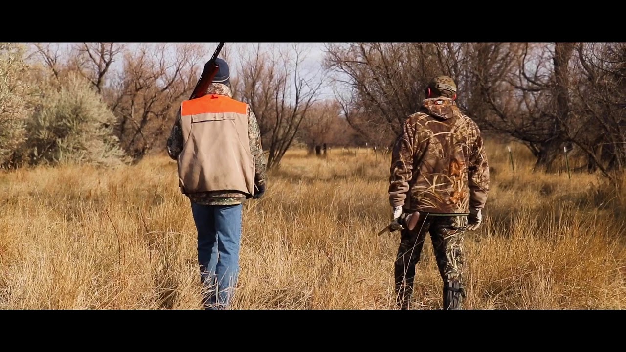 Wyoming Duck Hunting 2018 YouTube