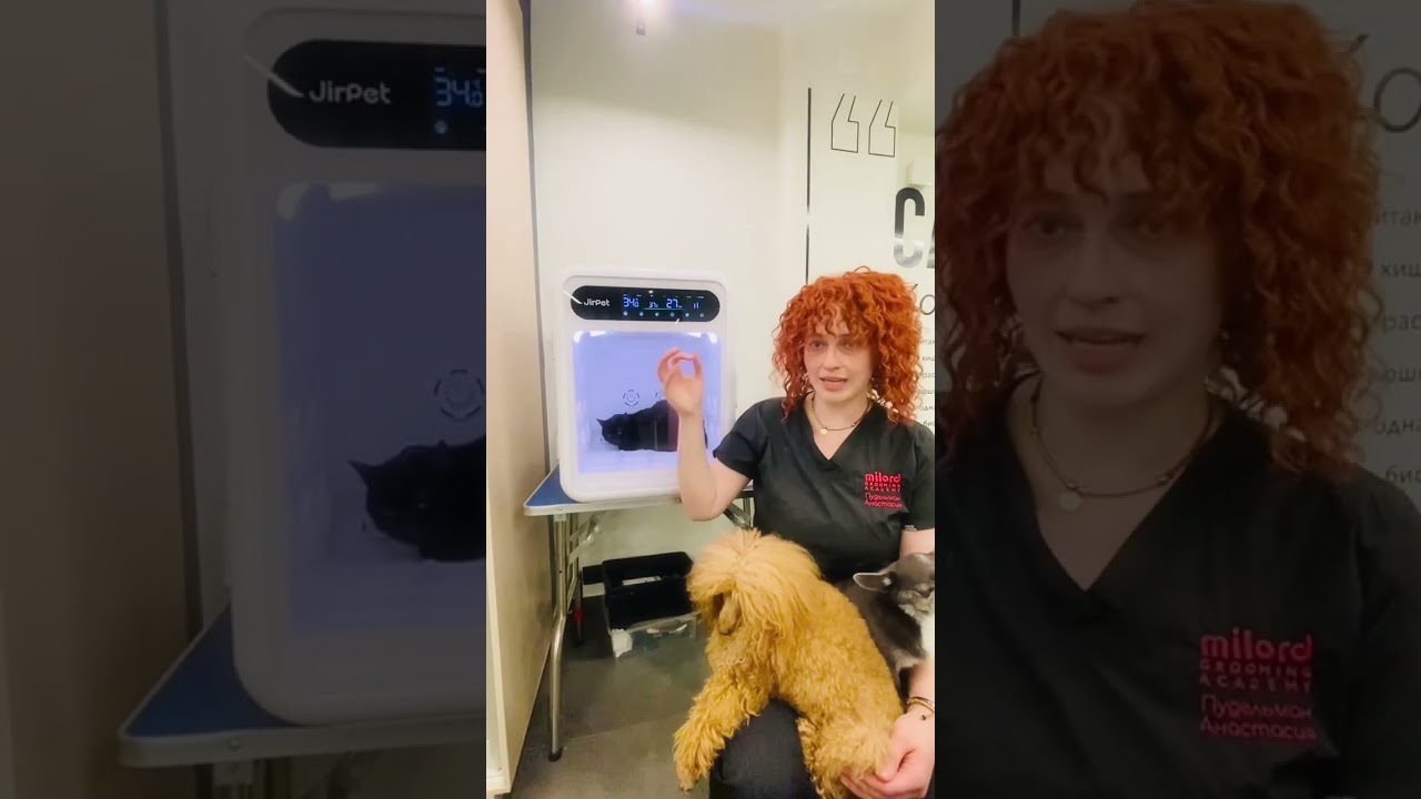 JirPet Сушильная камера для мелких животных. F1